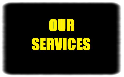 OUR SERVICES